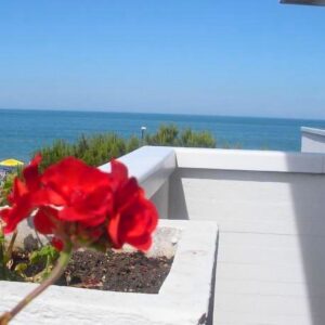 Hotel giada di fronte alla spiaggia (2)